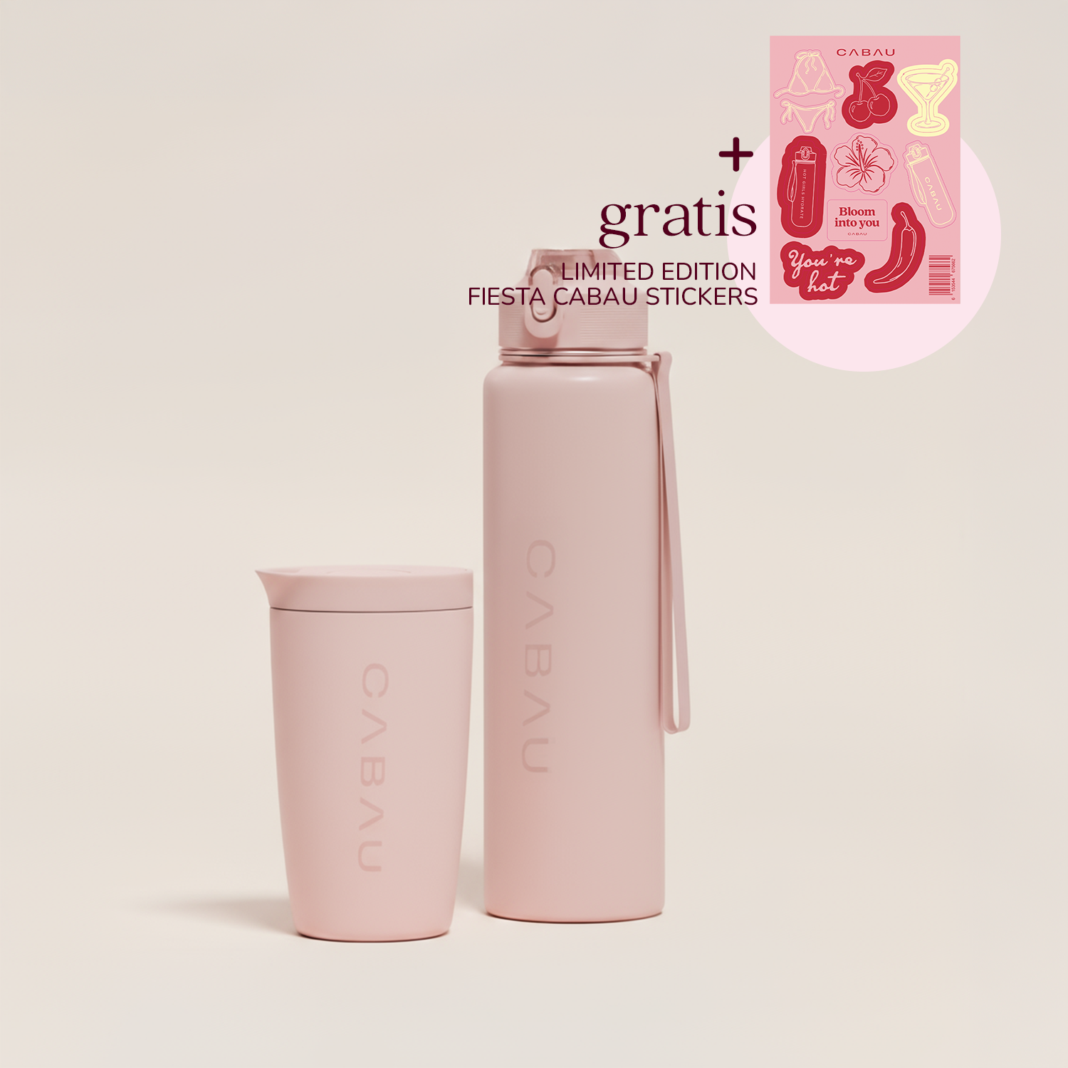 Stainless Duo: Bottle + Cup